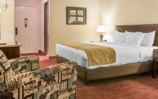 Canberra Premiere Comfort Hotel