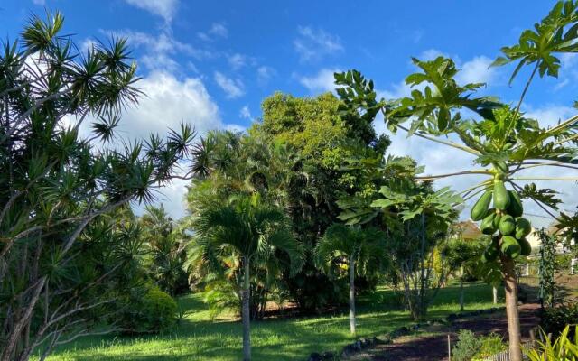 Le Jardin Kerveguen, magnifique appartement très bien situé