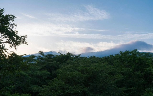 Hakone Retreat Fore