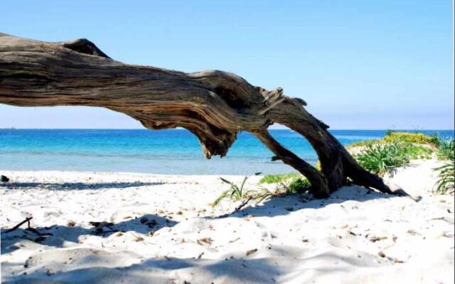 Alghero Appartamento Cervi per 67 vicino al mare