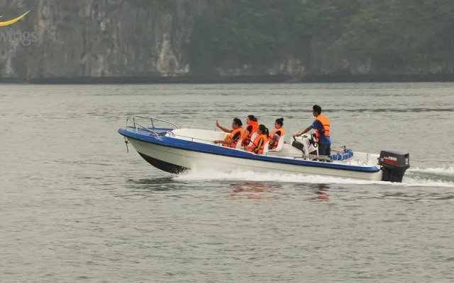 Royal Wings Cruise
