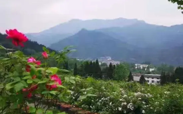Youyang Meiju Homestay