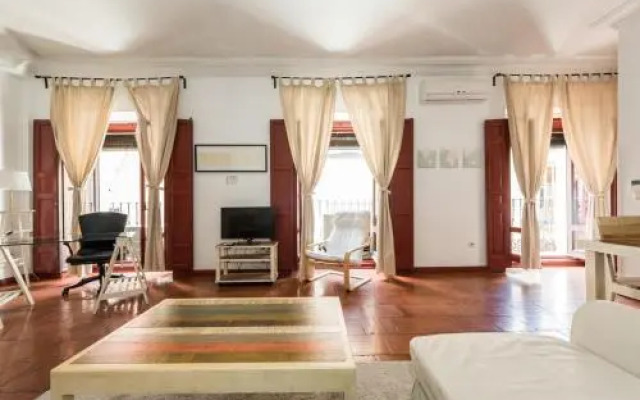 Apartamentos Madrid Centro W