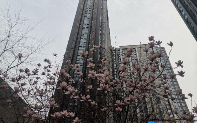Xinmu Apartment (Wuhan AEON Menglecheng Branch)