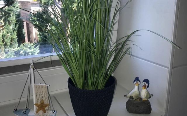 Ferienhaus an der Ostsee