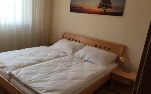 DELI Tatry Apartment