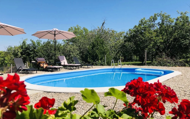 Fruska Pool House