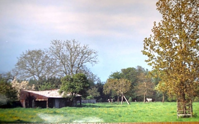 Hotel Kinnen