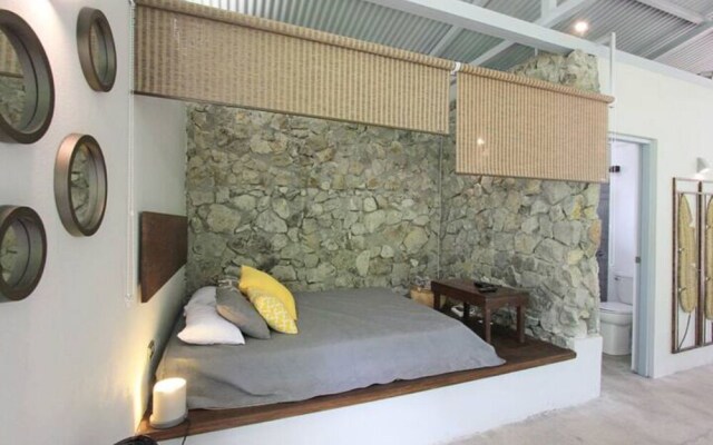 Relaxing Sound of River Birds Squirrels