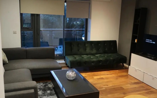 Immaculate 1-bed Apartment in London
