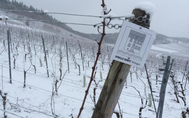 SYBILLE KUNTZ Weingut Gästehaus
