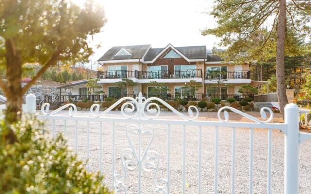 Dorothy's Forest Pension