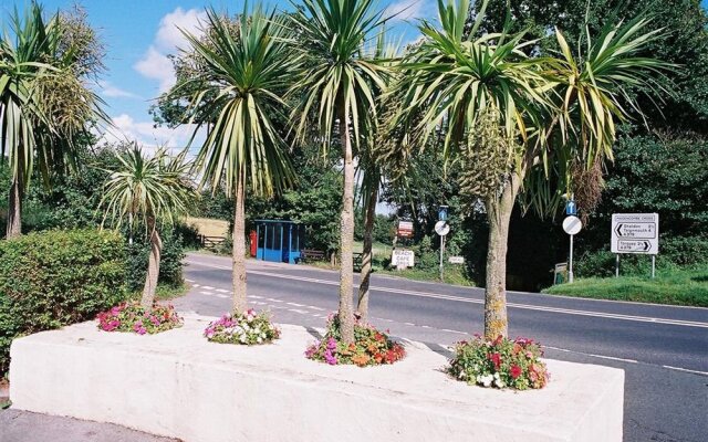 Devon Palms