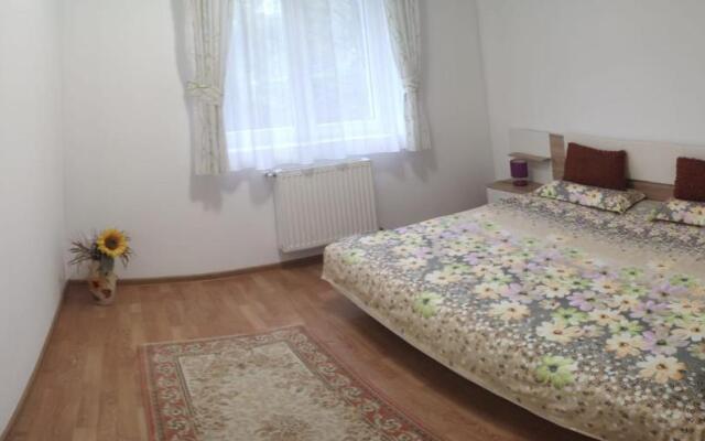 Cosy apartment I