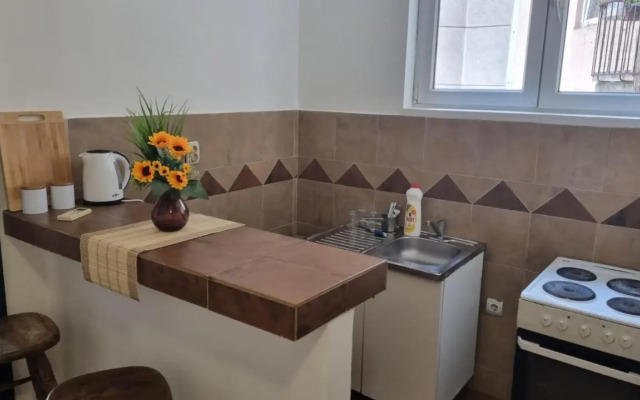 Downtown Belgrade Hostel and Apartments