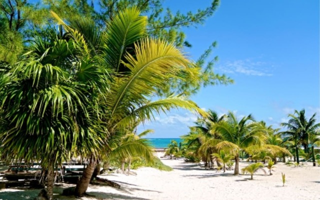 Private oceanfront house - lagoon access