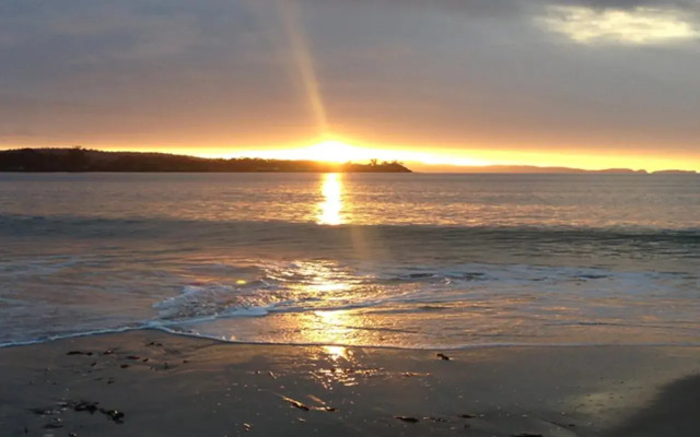 Essentially Tas - Southport