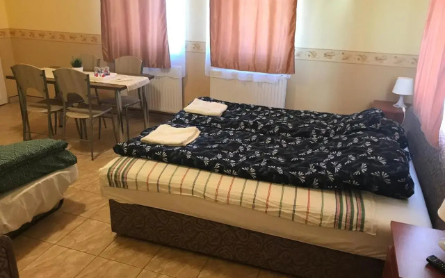 Bencsik Tanya Szentkirály - фото 5