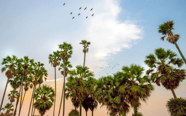 Courtyard by Marriott Siem Reap Resort