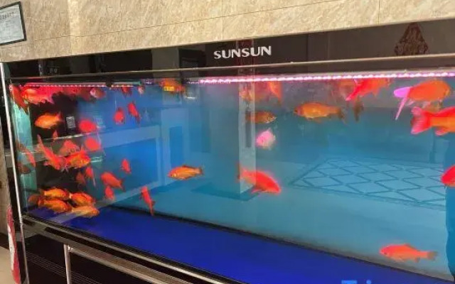 Wuchang Baoli Business Hotel