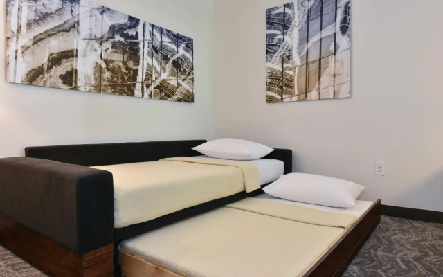 SpringHill Suites by Marriott Columbia Downtown/The Vista