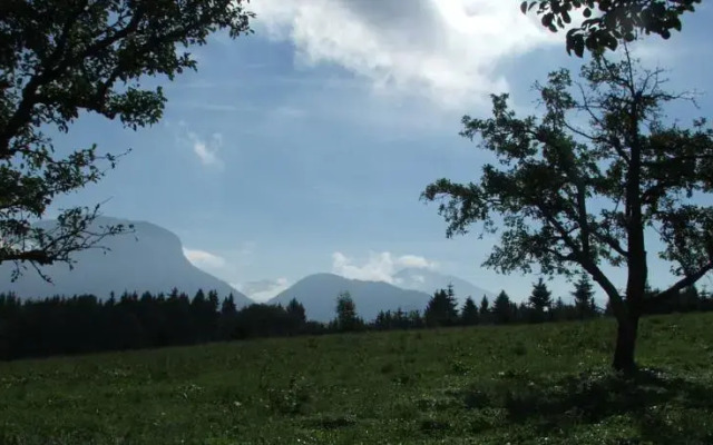 Blasihof