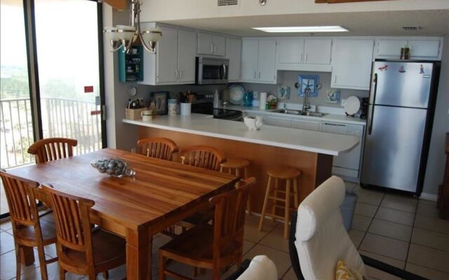 Phoenix V 901 by RedAwning