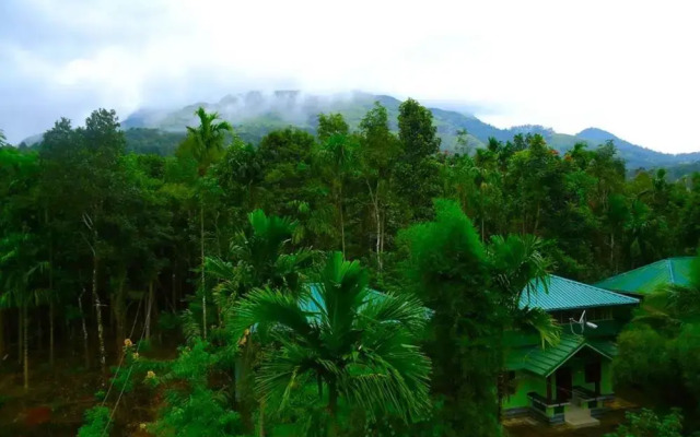 Shibi's Tea Garden Heritage