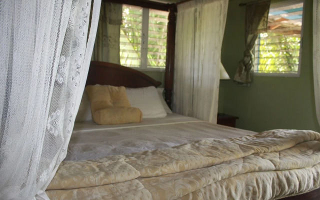 Inn The Bush Jungle Lodge