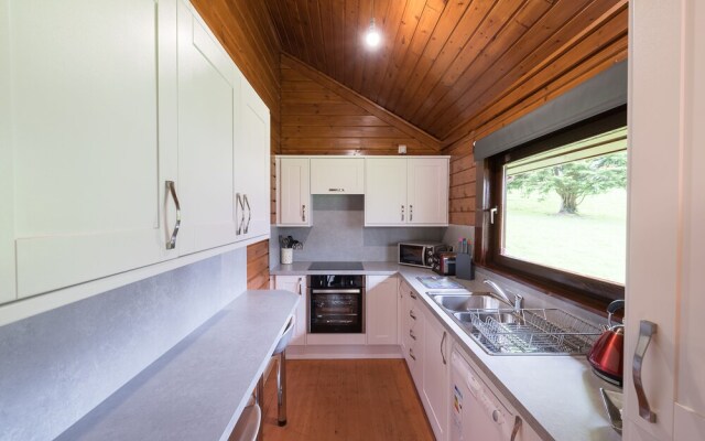 Lady Galloway Lodge 29 with Hot Tub, Newton Stewart