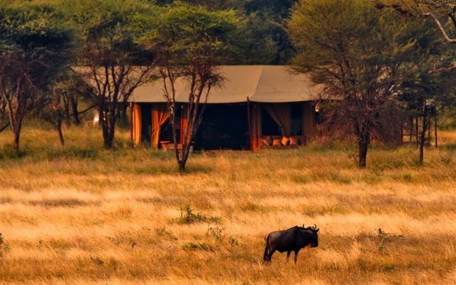 Lemala Ndutu Camp