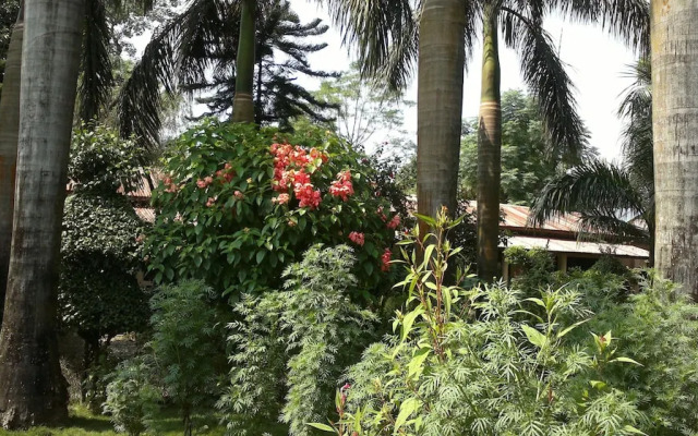 The 90's Sauraha