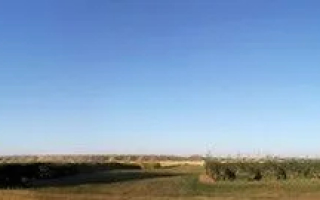 The Honeyberry Inn B&B