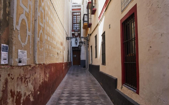 Santa Cruz Pearl by Valcambre