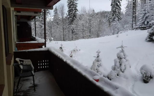 Fairytale apartment close to Bradu Ski Slope