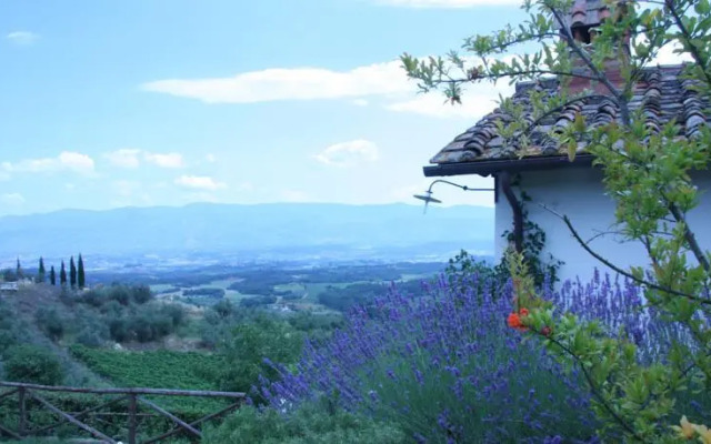 La Tuia Vacanze