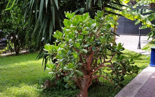 Il Giardino di Giulia 2