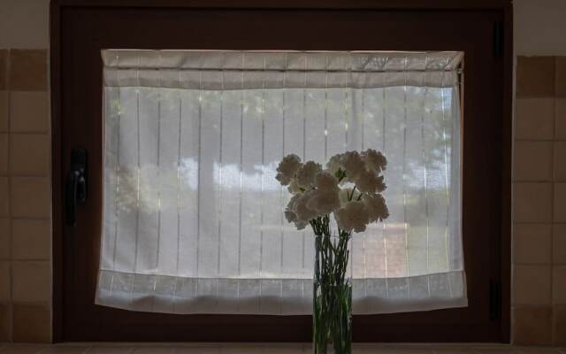 Villa Carulli in Villa Consalvi