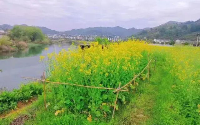 Wuyuan Wanling Inn (Jiangwan Scenic Area)