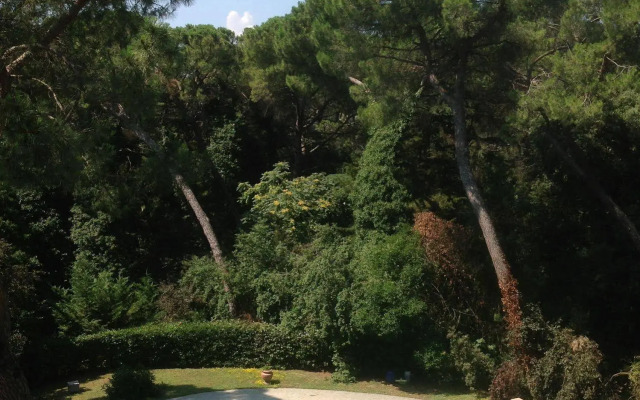 Borgo Dolciano