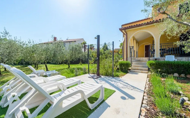 Spacious Apartment With Garden
