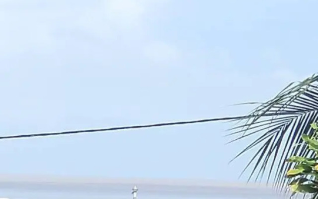 Hello Guyane, Exceptionnel et Rare, 5 étoiles