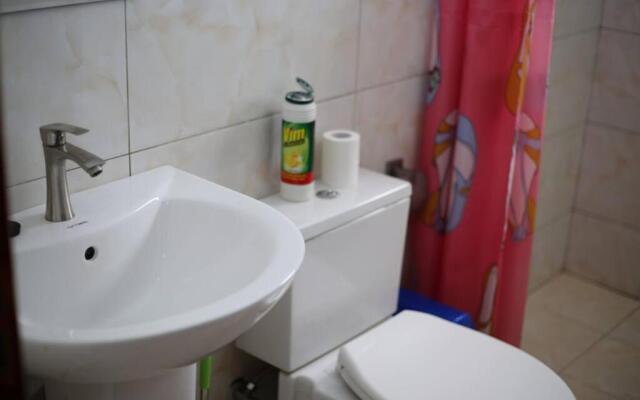 The Peaceful Place 2 Washing M WiFi Android TV