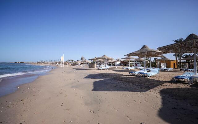 Calimera Blend Paradise