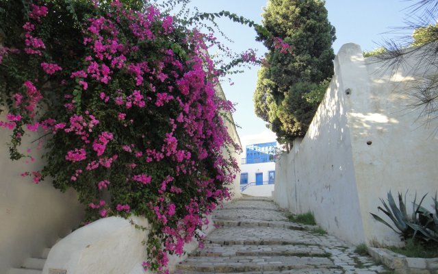 Dar El Fell Sidi Bou Said - Adults Only