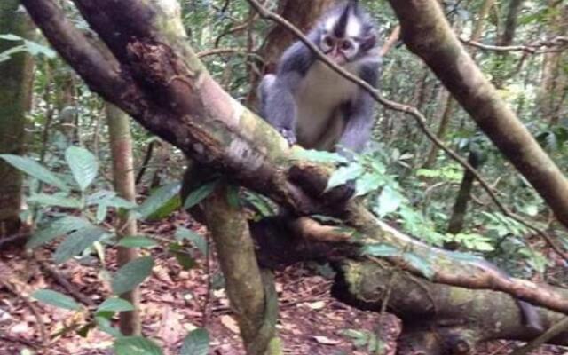 Village Inn & Guest House