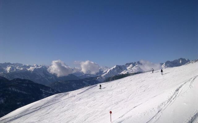 Pension Garni Alpenhof