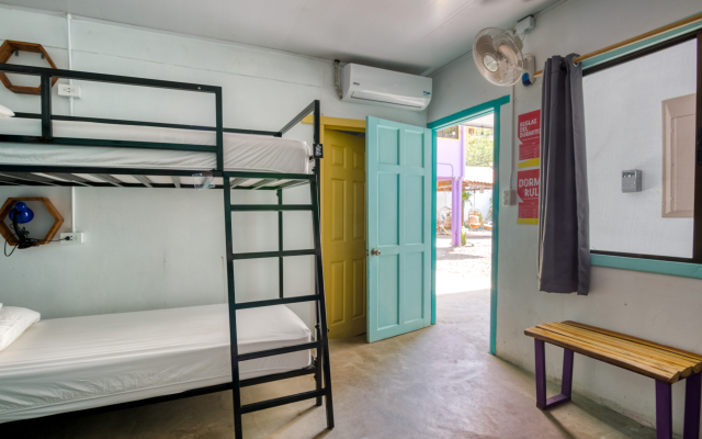 Selina Jaco - Hostel