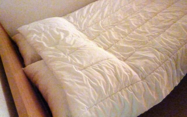 Appartement Morzine, 1 pièce, 6 personnes - FR-1-524-39