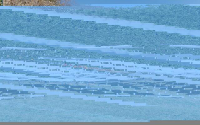 Valarin Palermo Luxory Apartment Wellness